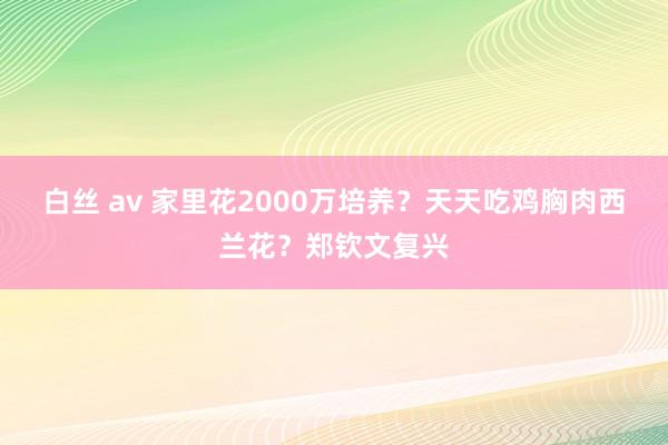 白丝 av 家里花2000万培养？天天吃鸡胸肉西兰花？郑钦文复兴