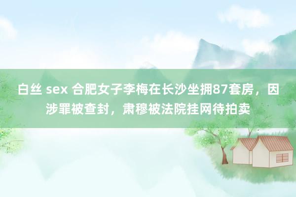 白丝 sex 合肥女子李梅在长沙坐拥87套房，因涉罪被查封，肃穆被法院挂网待拍卖