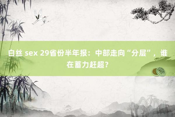 白丝 sex 29省份半年报：中部走向“分层”，谁在蓄力赶超？