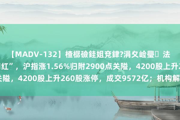 【MADV-132】楂樼礆銈姐兗銉?涓夊崄璺法 A股收评：龙年“开门红”，沪指涨1.56%归附2900点关隘，4200股上升260股涨停，成交9572亿；机构解读后市