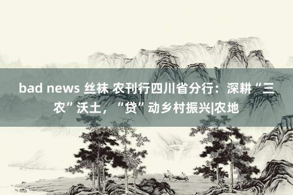 bad news 丝袜 农刊行四川省分行：深耕“三农”沃土，“贷”动乡村振兴|农地