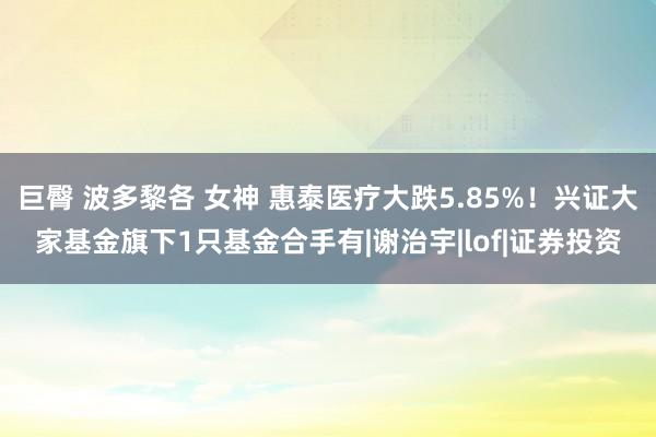 巨臀 波多黎各 女神 惠泰医疗大跌5.85%！兴证大家基金旗下1只基金合手有|谢治宇|lof|证券投资