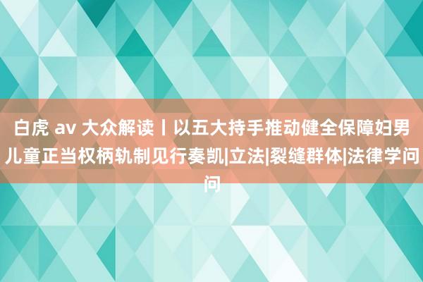 白虎 av 大众解读丨以五大持手推动健全保障妇男儿童正当权柄轨制见行奏凯|立法|裂缝群体|法律学问